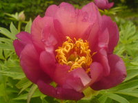 DSC02601.JPG