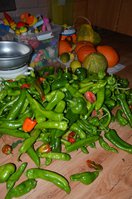 DSC_0003.JPG