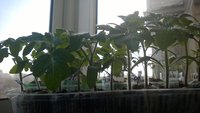 WP_20170312_009.jpg