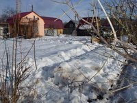 Весна (12.03.2017)
