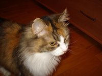 DSC00020 640.JPG
