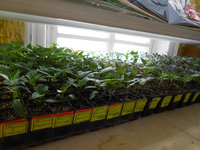 DSCN3620.JPG