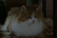 _G105290.JPG