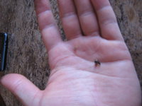 IMG_6872.JPG