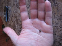 IMG_6873.JPG