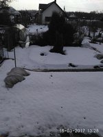 IMG_2017-03-18_132818.jpg