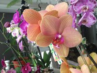 IMG_5648.JPG