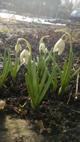 WP_20170318_005.jpg
