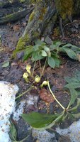 WP_20170319_005.jpg