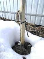 DSCN8269.jpg