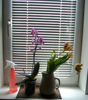 n_1489577252.jpg