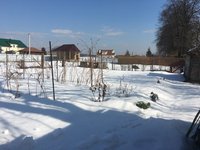 IMG_4002.JPG