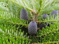 IMG_20160623_162311.jpg