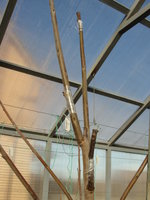 DSC04944.JPG