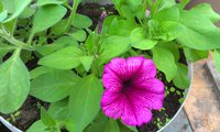 IMAG0984.jpg