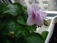 IMG_2624.JPG