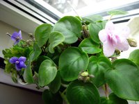 IMG_2625.JPG