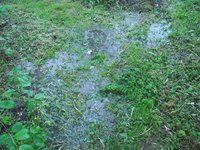 DSCF6771.jpg