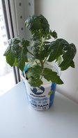 20170325_172645.jpg