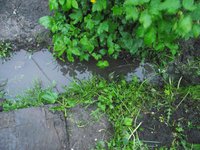 DSCF6773.jpg