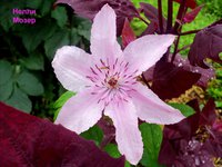DSC07282.JPG