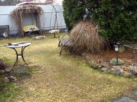 IMG_2626.JPG