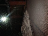 IMG_5921.JPG
