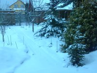 IMG_5922.JPG