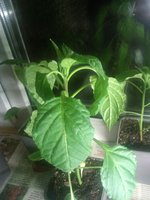 WP_007237.jpg