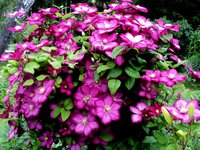 DSC05463.JPG