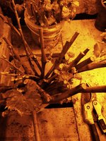 IMG_20170327_181727.jpg