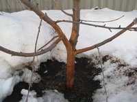 IMG_3369-min.JPG