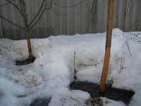 IMG_3370-min.JPG