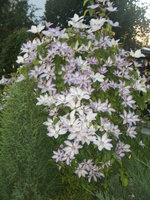S2010428.JPG