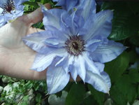 S2010139.JPG