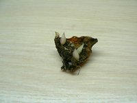 IMG_20170331_125135.JPG