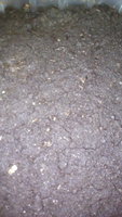 IMG_20170405_170539.jpg