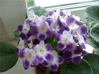 IMG_3642.JPG