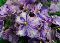 IMG_3648.JPG