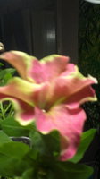 2013-05-20-471.jpg