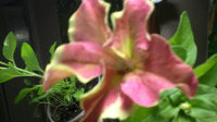 2013-05-20-473.jpg