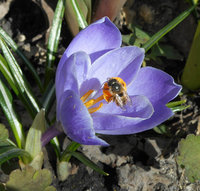 DSCN0689.1.jpg