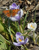 DSCN0713.1.jpg
