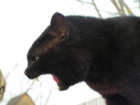 PICT0213.JPG