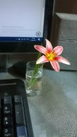 WP_20170412_003.jpg