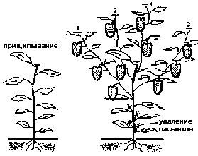 Формирование.gif