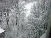 IMG_2808.JPG