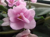 IMG_2818.JPG