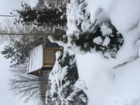 IMG_7260.JPG