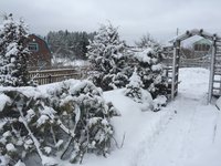 IMG_7264.JPG